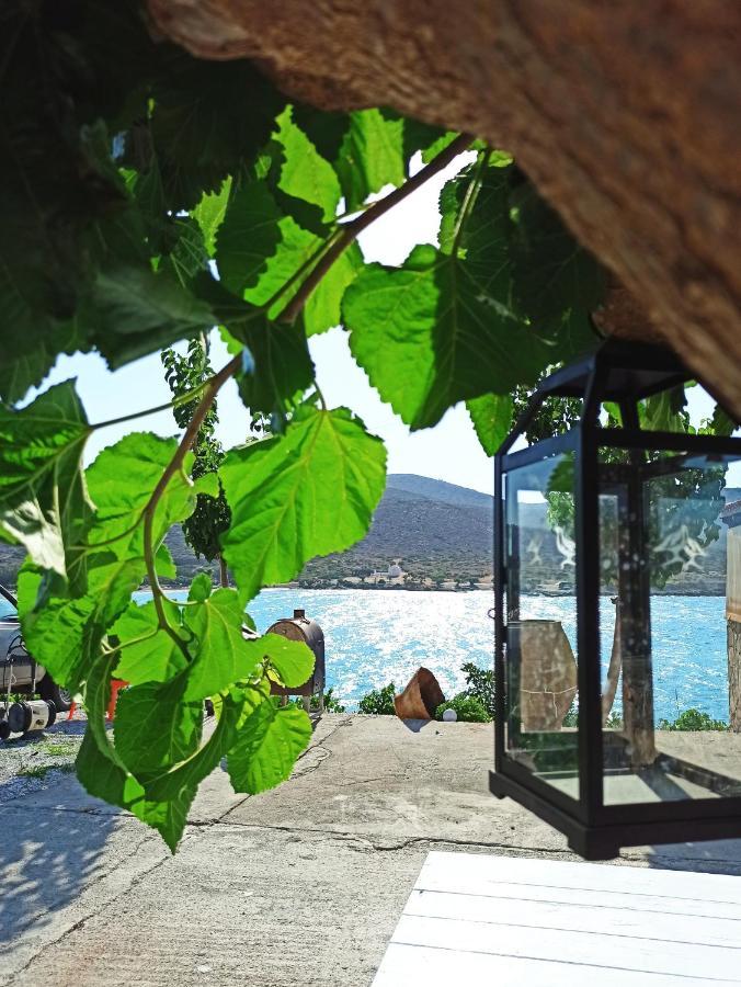 Tholos Alexandra'S Beachfront House Kavousi  Экстерьер фото